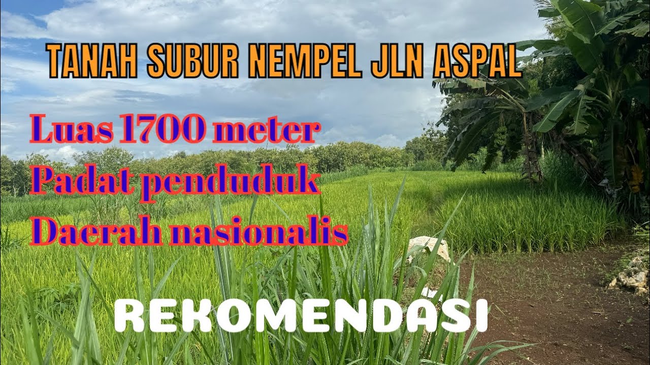 TANAH DI JUAL LUAS 1700 METER ( NEMPRL JLN ASPAL ) @rajiproperty channel