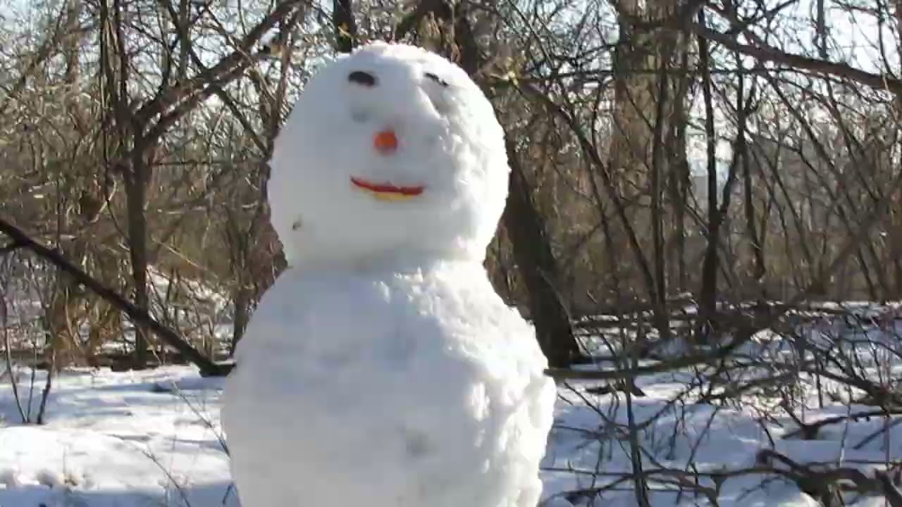 Белка съела снеговика) The squirrel ate the snowman)