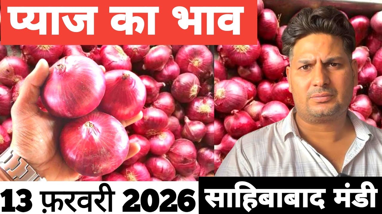 13 February 2026 🧅 प्याज का भाव साहिबाबाद मंडी | today onion rates #delhimandi #onion #todayonion 