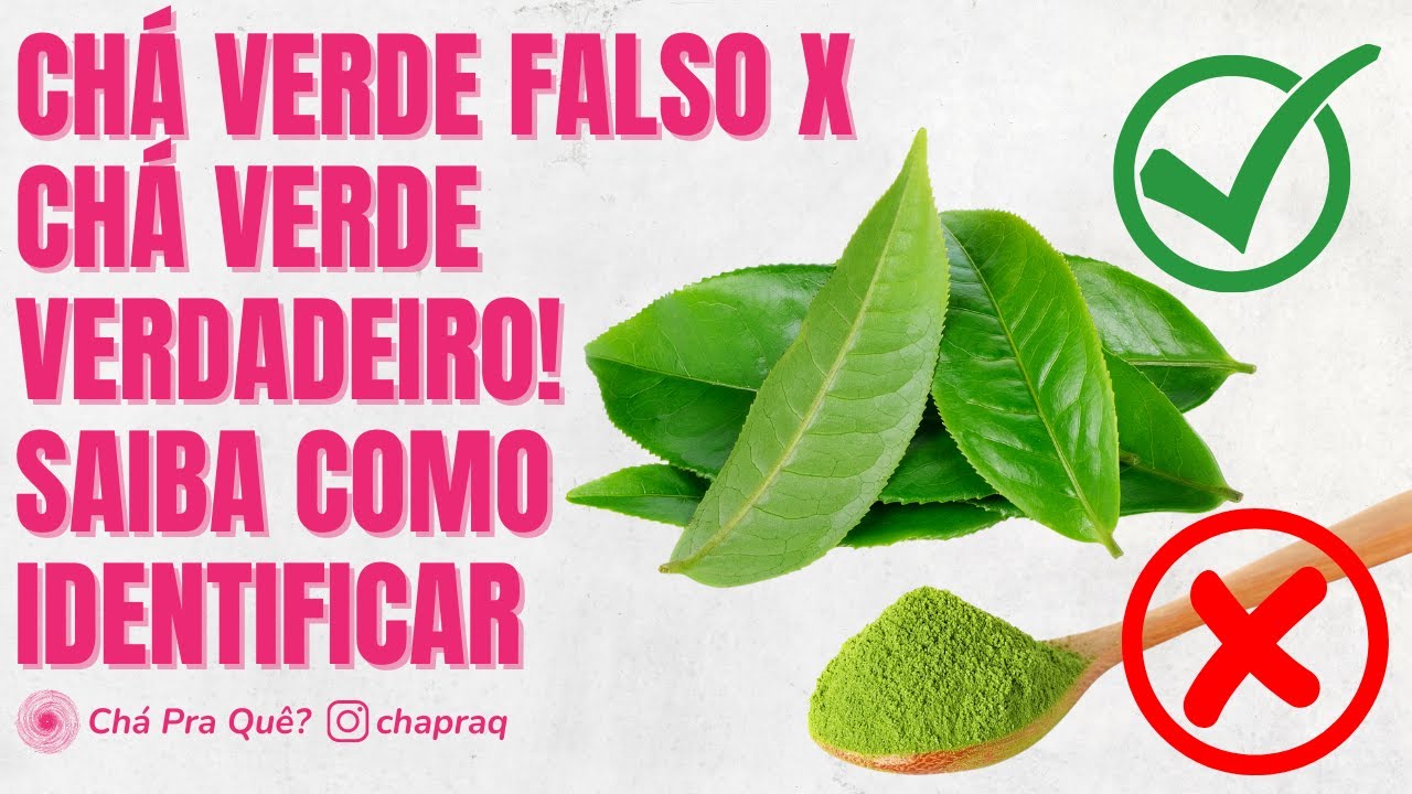 Ch&aacute; verde falso X ch&aacute; verde verdadeiro: saiba como identificar!
