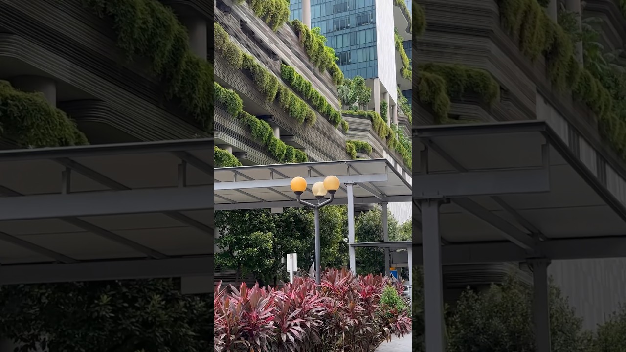 Virtual walk tour in 