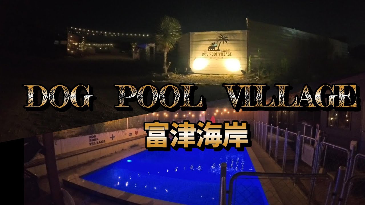 泳げない大型犬達が頑張った…その後【DOG　POOL　VILLAGE　富津海岸】
