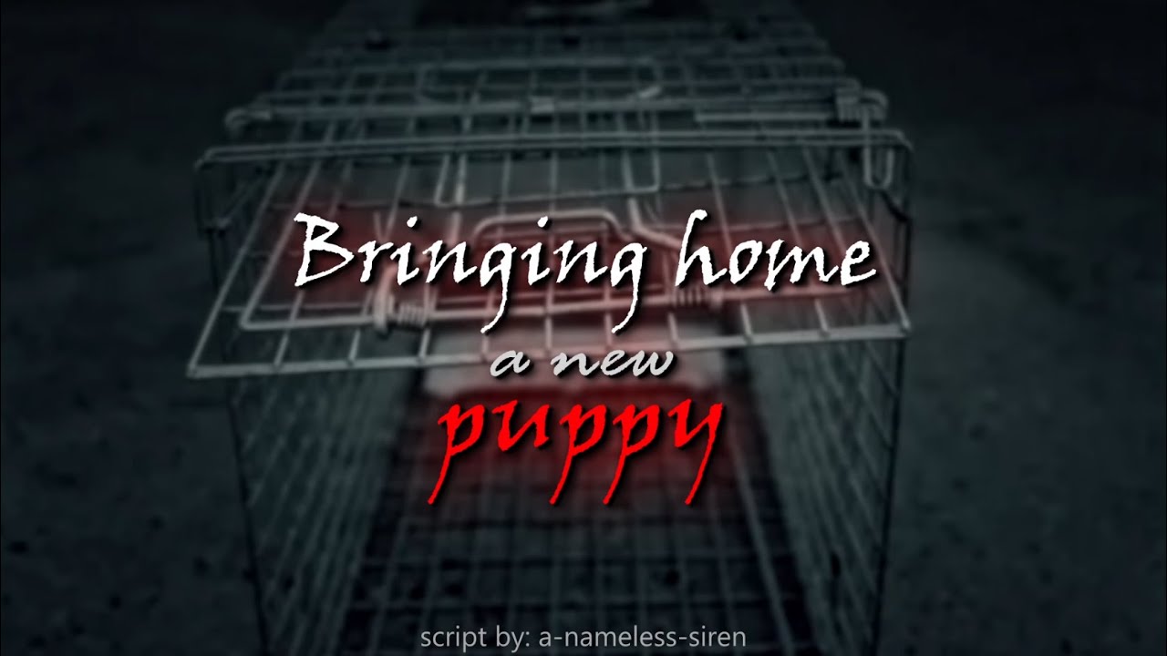 Bringing Home a New Puppy (F4A) | yandere speaker | kidnapped | owner/puppy | roleplay (ASMR)
