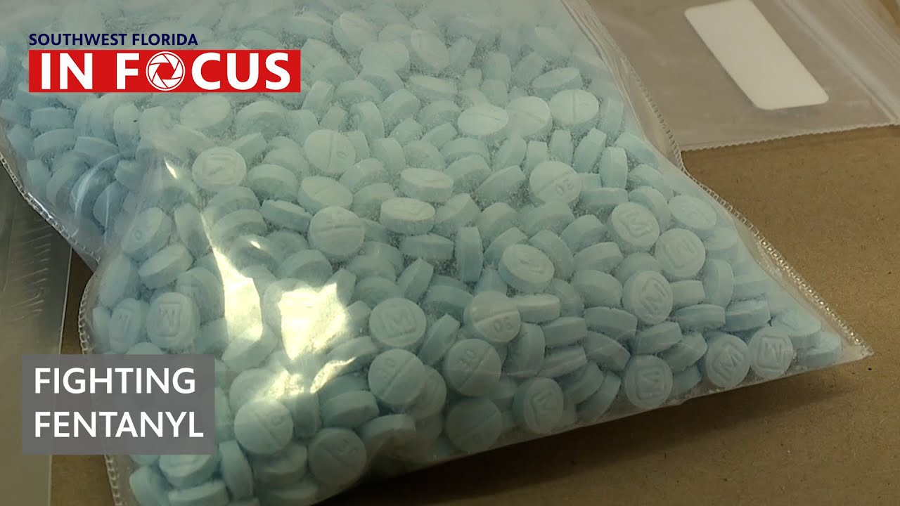The Fight Against Fentanyl | Southwest Florida In Focus | WGCU News