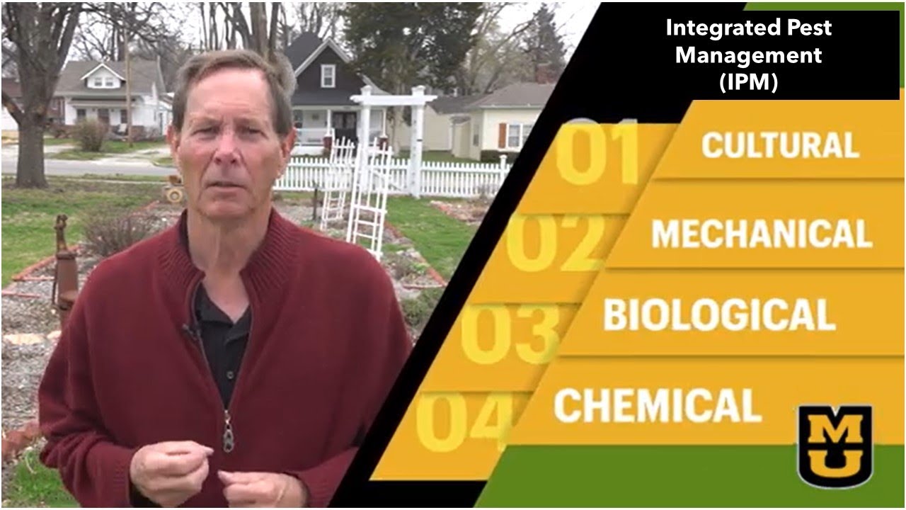 5 IPM (integrated pest management) strategies to keep your garden pest free!