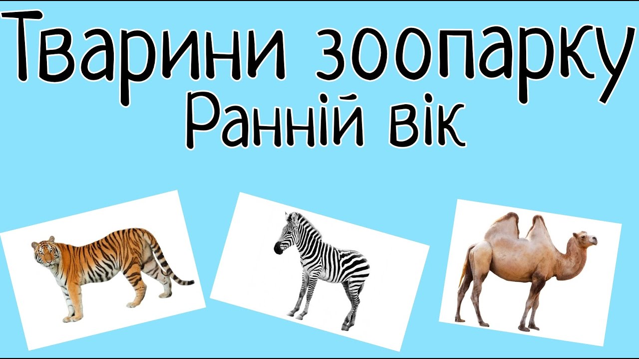 Тварини у зоопарку, ранній вік