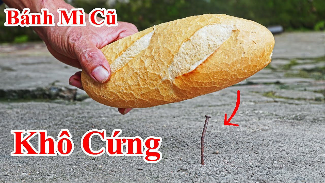 Cách Biến Bánh Mì Cũ , Khô Như Khúc Gỗ THÀNH Bánh Mì Mới Như Mới Ra Lò . Mẹo Khôi Phục Bánh Mì Cũ