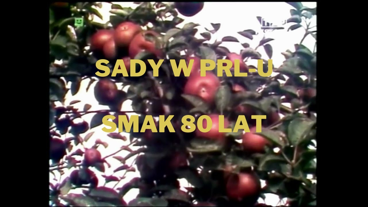 Sadownictwo w PRL-u w rytm przeboju Smak 80-tych lat - K.A.S.A. - TELEDYSK