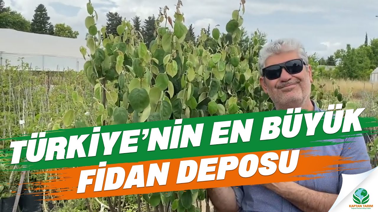 Türkiye'nin En Büyük Fidan Deposu Kaptan Tarım