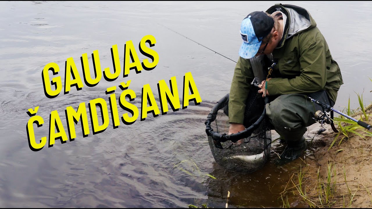 Makšķerē ar Olti 2023 #2 Gaujas dauzoņas