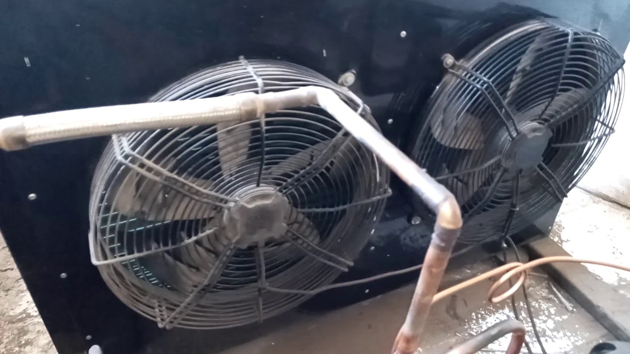 Carga de Refrigerante Camara Frigorifica Parte 1