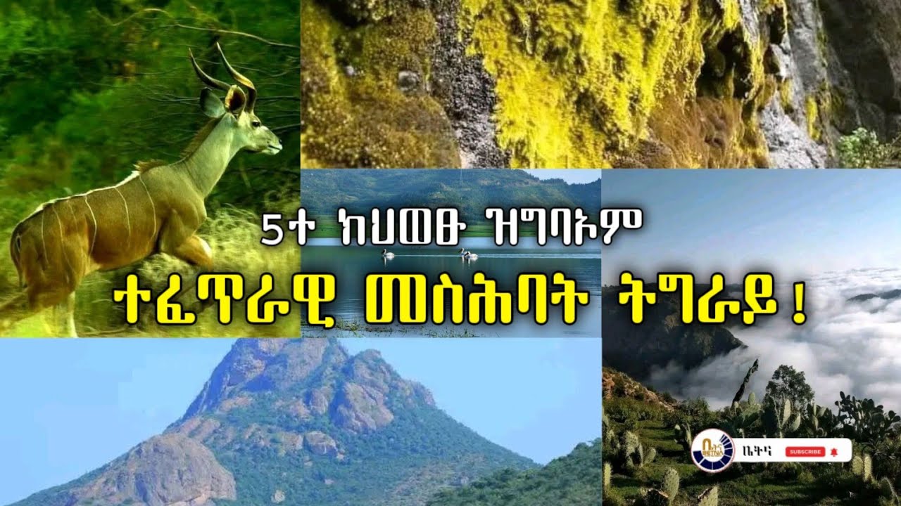 5ተ ክህወፁ ዝግበኦም ተፈጥራዊ መስሕባት ትግራይ! #ቤትና #ትግራይንሃውፃ #visittigray 