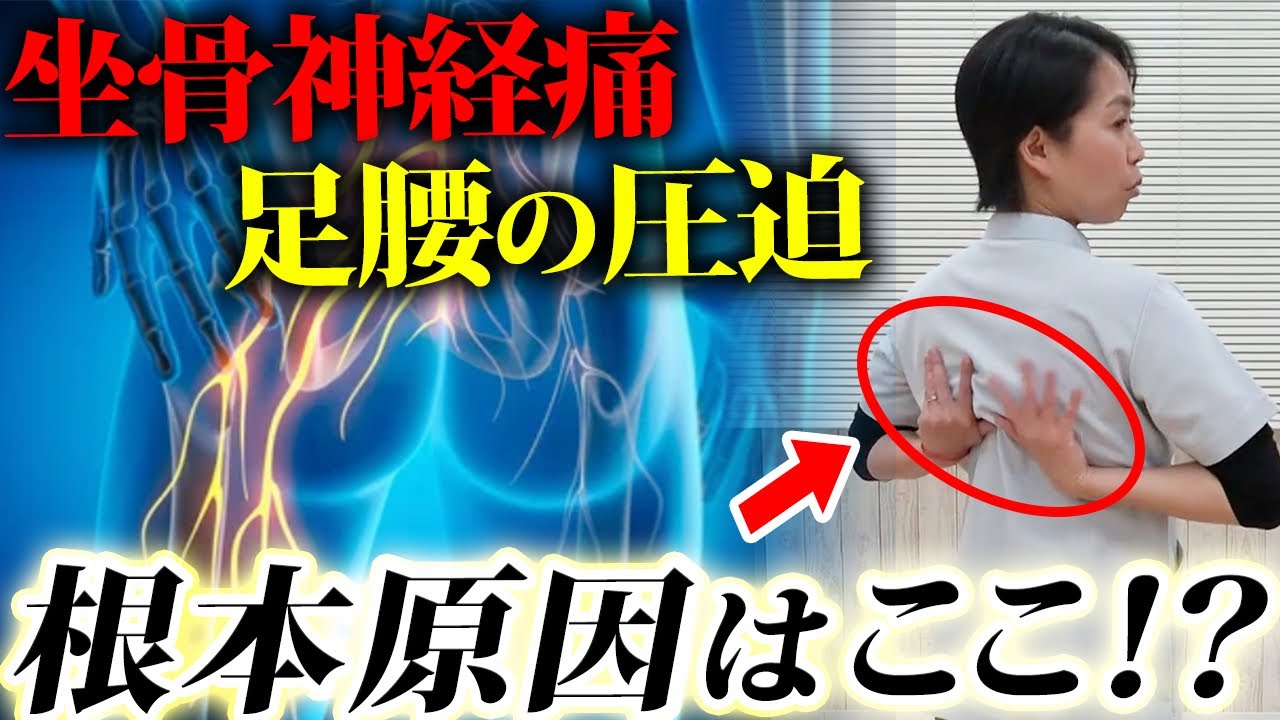 坐骨神経痛の原因は肩甲骨にあるという話は本当か？現役整体師が徹底解説します！