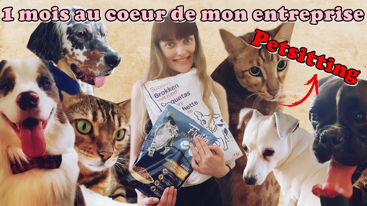 Petsitter, un mois au cœur de mon entreprise !
