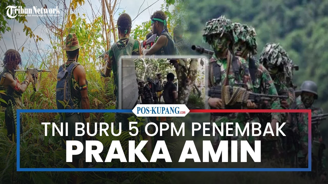 TNI Buru 5 Anggota OPM Penembak Praka Amin di Teluk Bintuni
