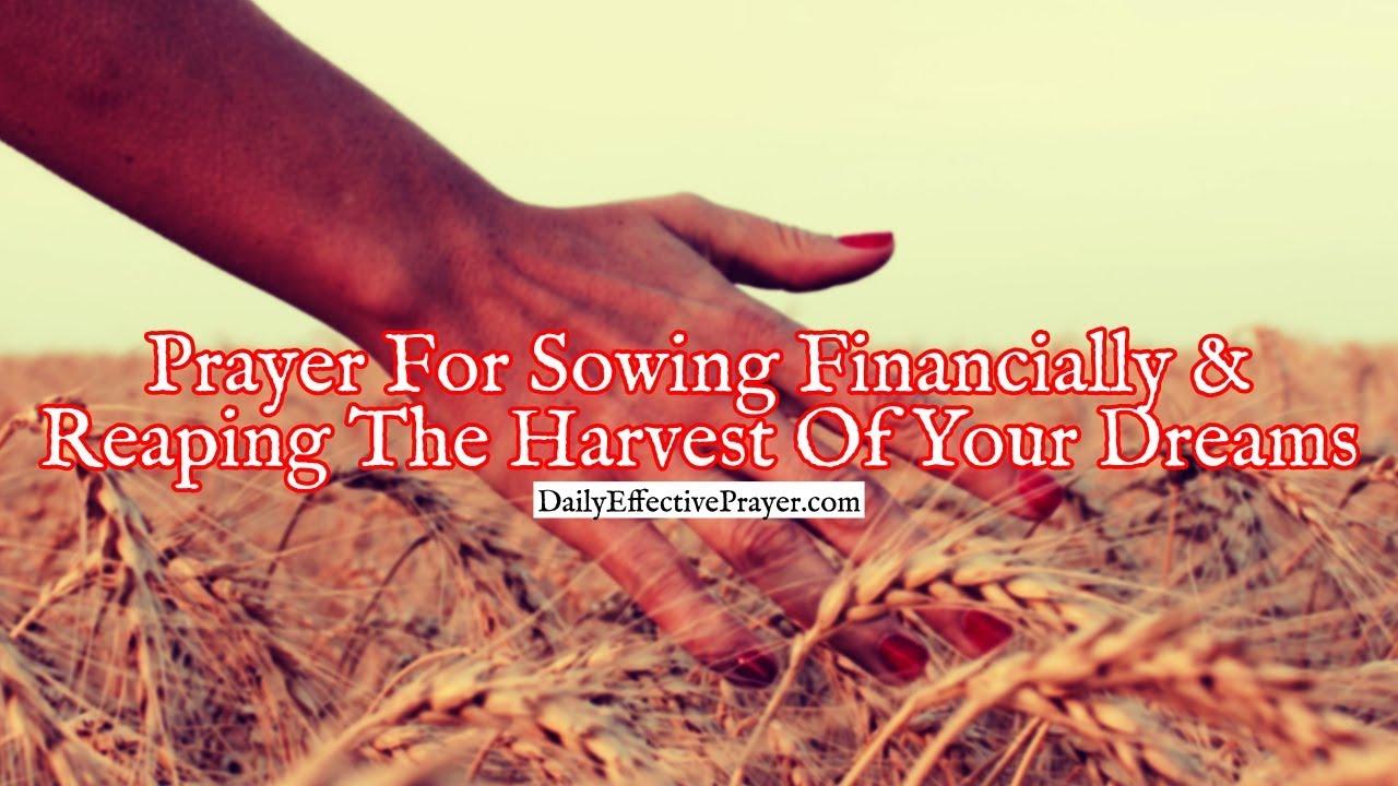Prayer For Sowing Financially and Reaping The Harvest Of Your Dreams
