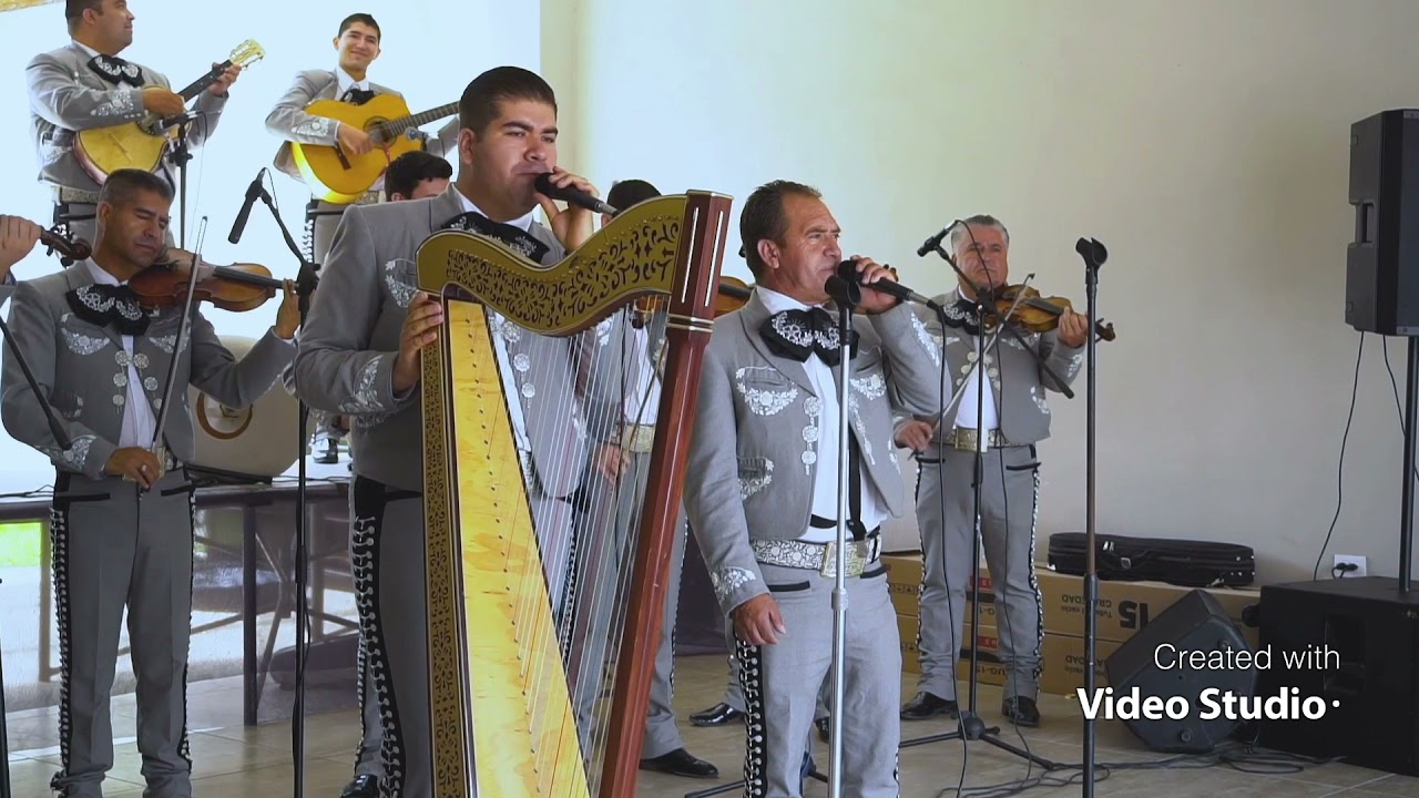 Mariachi Internacional Los Perez                                             Lucio Vasquez