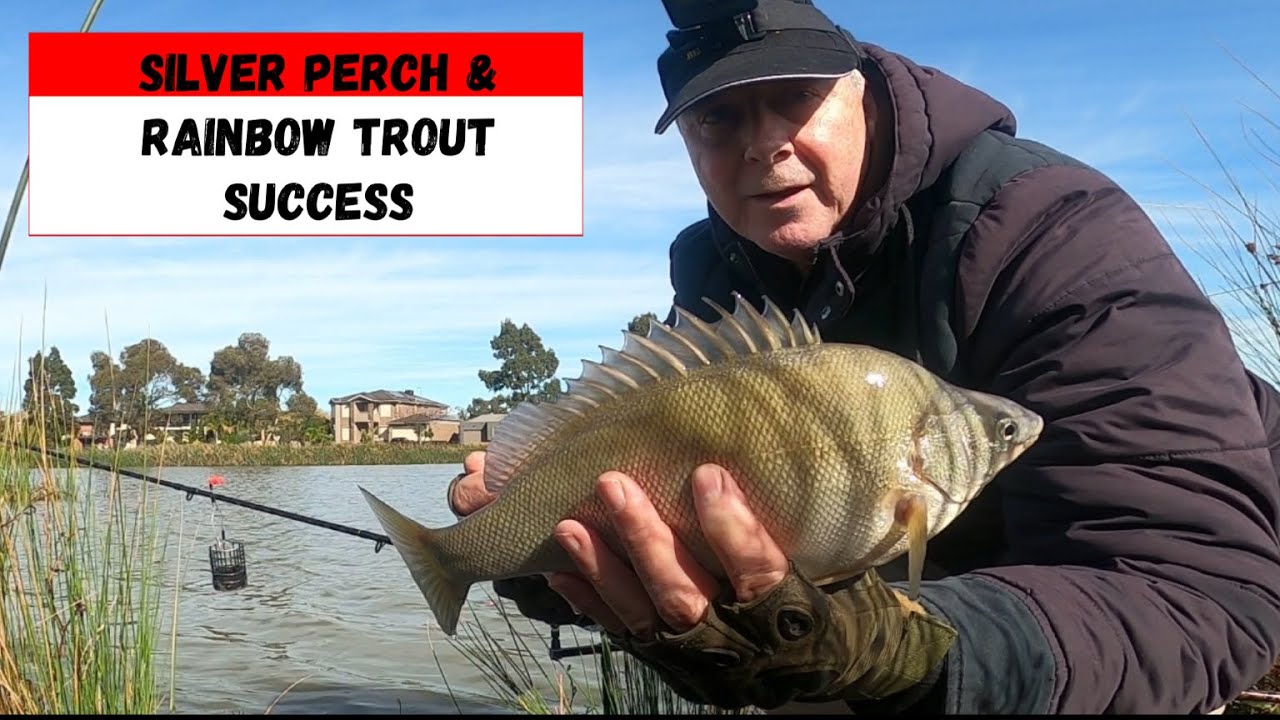 Beginners guide to catching fish in your suburban lakes