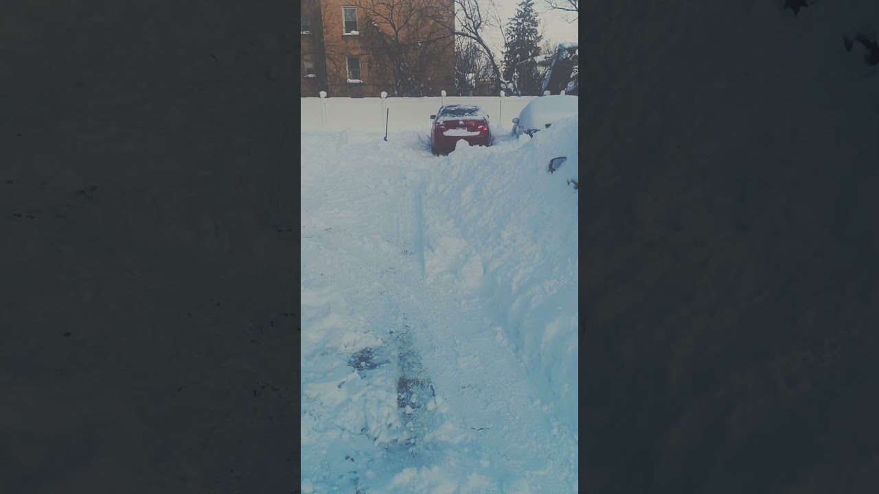 After the Winter Storm ❄️