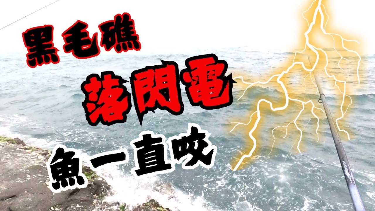#藻餌磯釣