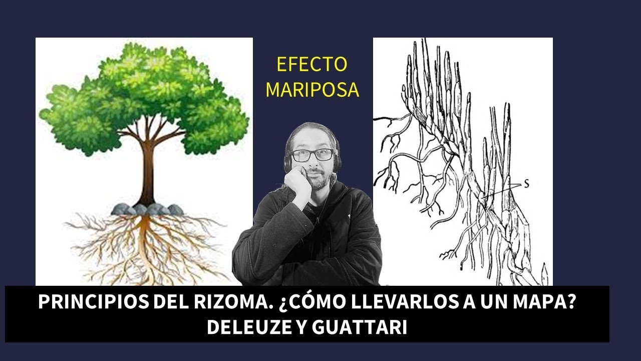 PRINCIPIOS DEL RIZOMA