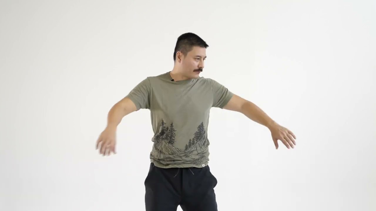 The 8 brocades qigong