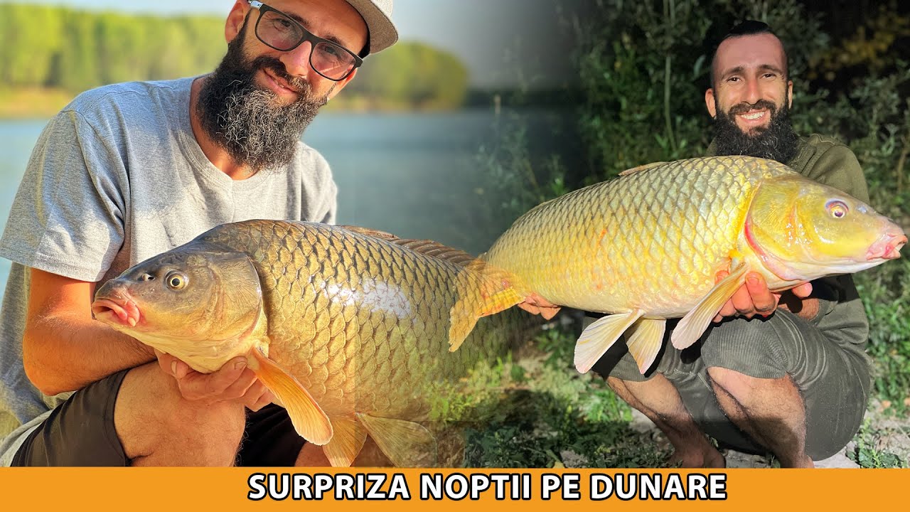 Pescuit la Feeder pe Dunare + Record la crap pe lanseta feeder!