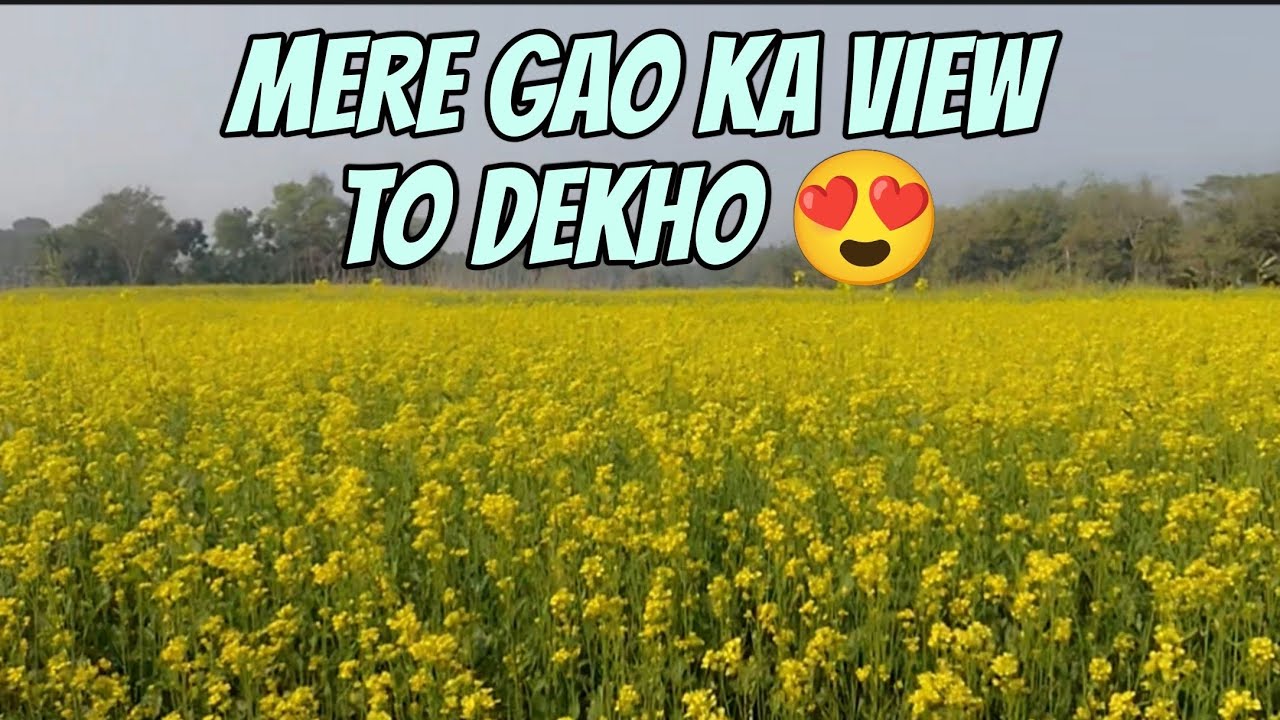 Gao Ka First Vlog😍 मेरे गांव का फर्स्ट ब्लॉग l आज गांव में बहुत मजा किया