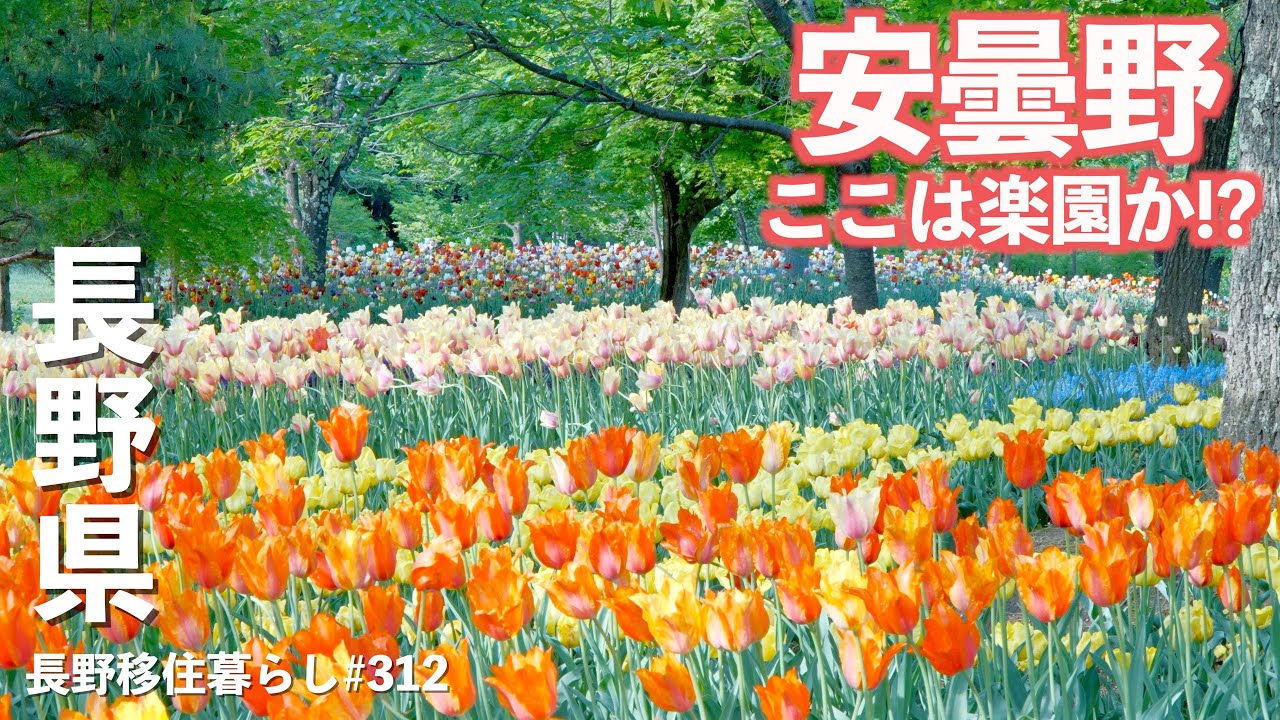 【長野移住】数百円払ったらこんな楽園が待っていたのか・・・!!｜国営アルプスあづみの公園｜サントリー｜ドライブ｜田舎暮らし｜長野県｜4K
