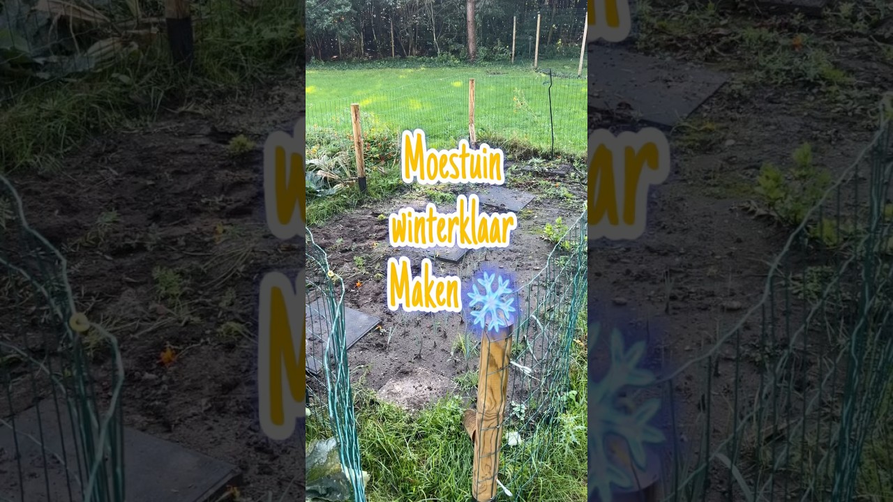 Moestuin winterklaar maken! Bedankt me volgend voorjaar 👌🏼 #groentetuin #moestuin #moestuintips