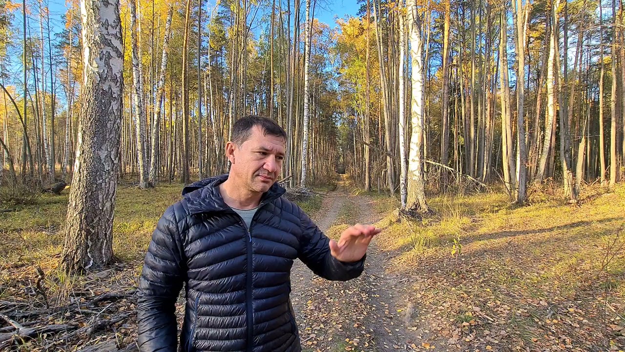 Опасности Египта-Немцы,Англичане,Чехи,акулы.