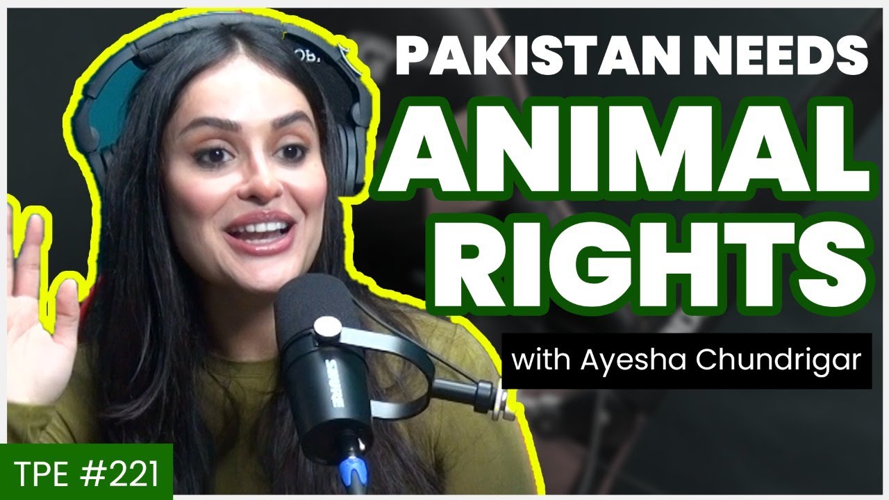 Rescuing over 30,000 Animals - Ayesha Chundrigar - Animal Rescue - #TPE 222