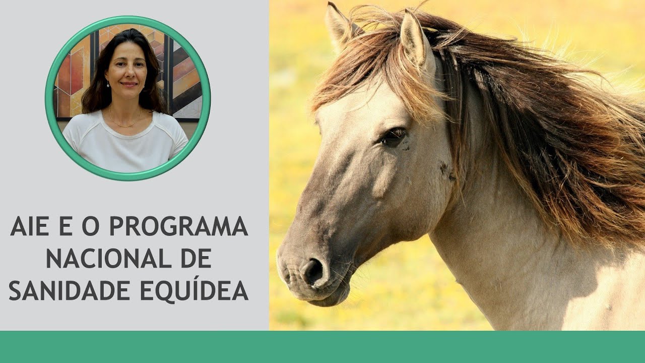 PNSE - Anemia Infecciosa Equina