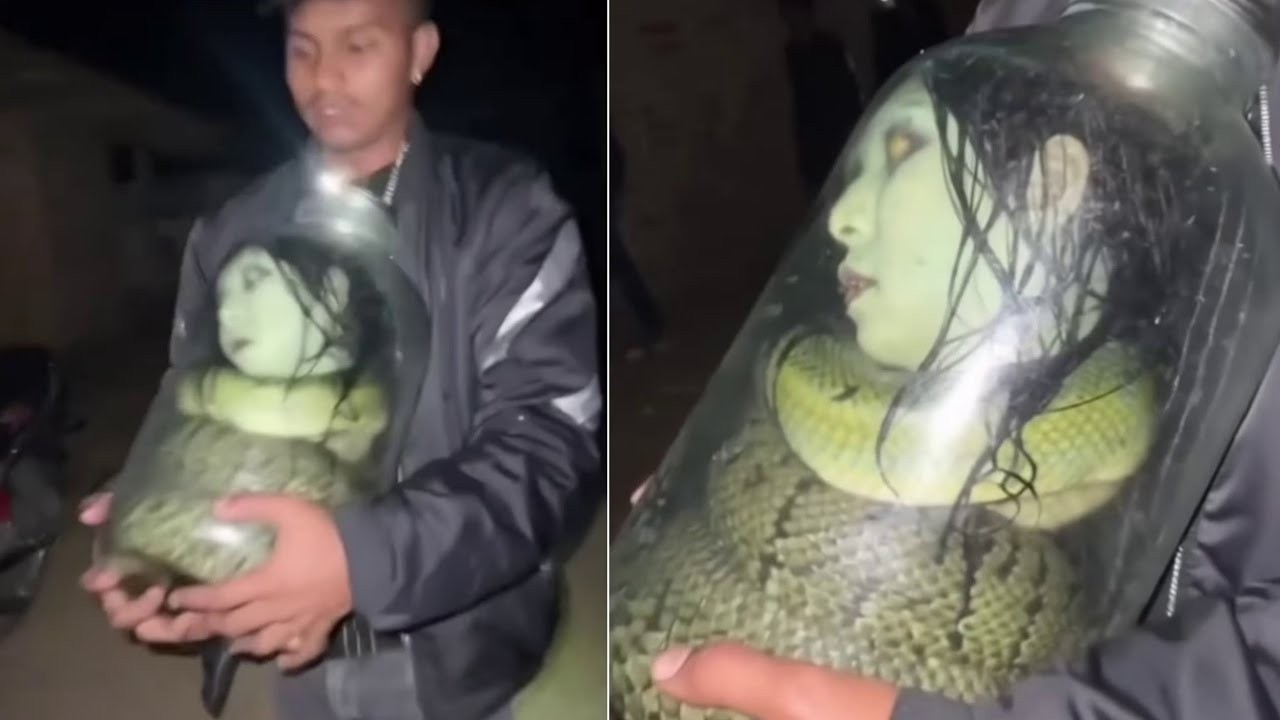 10 Videos de TERROR EXTREMO que NO te Dejar&aacute;n DORMIR 2026 (VOL. 04)