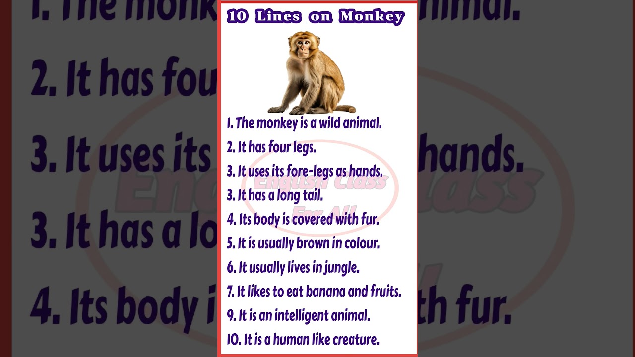 10 Lines on Monkey #monkey #monkeys #monkeylife #paragraphonmonkey