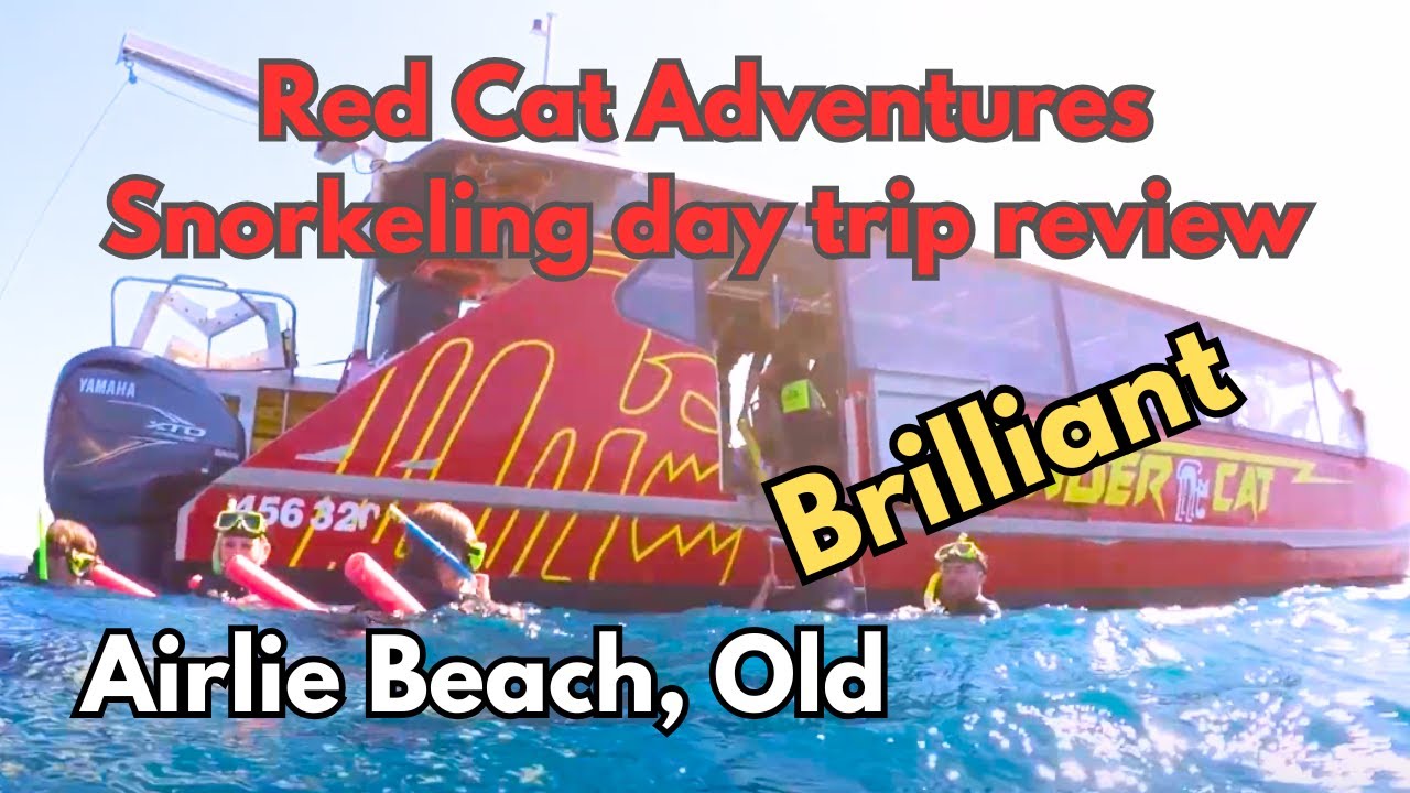 The best day of my life - Red Cat Adventures - Boat trip and snorkelling the Great Barrier Reef.