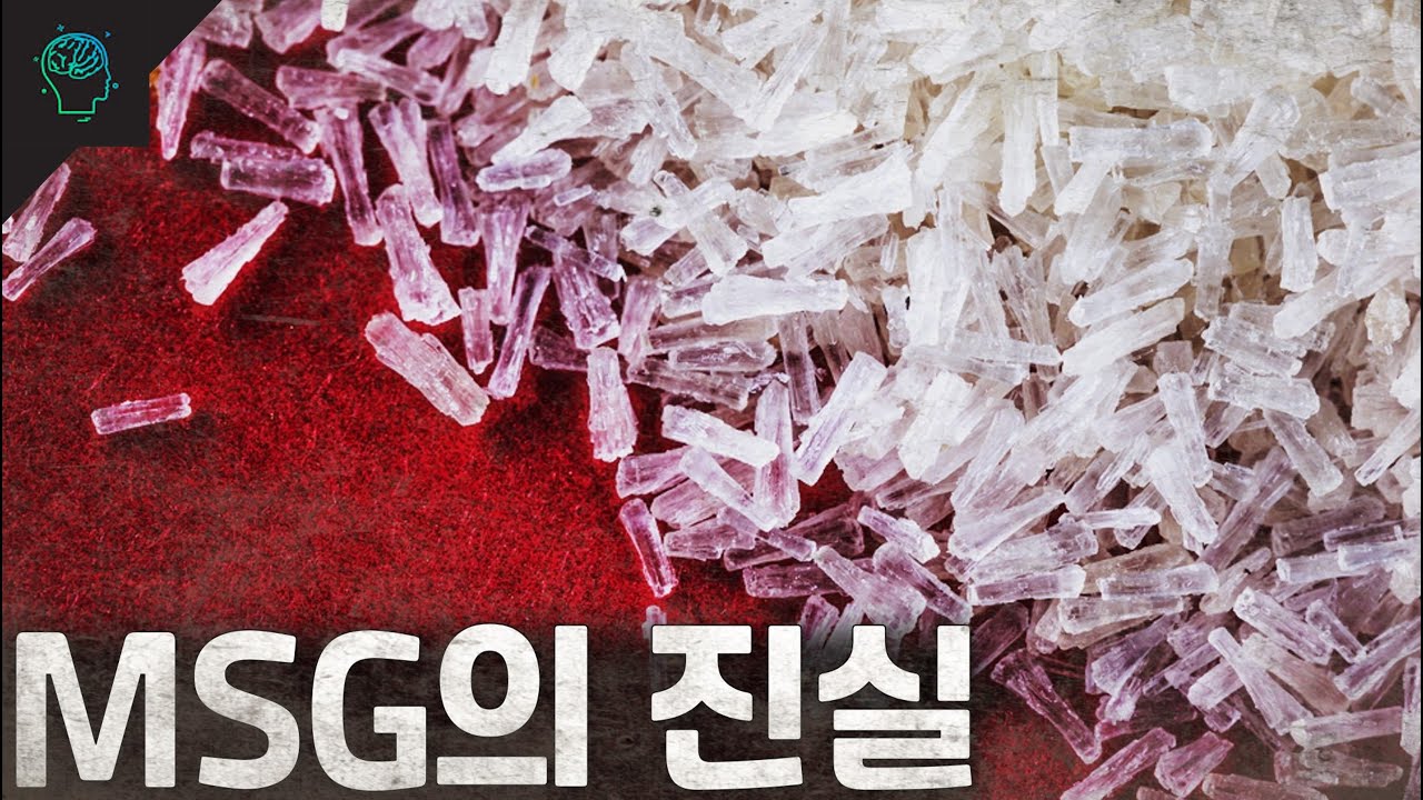 악마의 맛 MSG의 진실