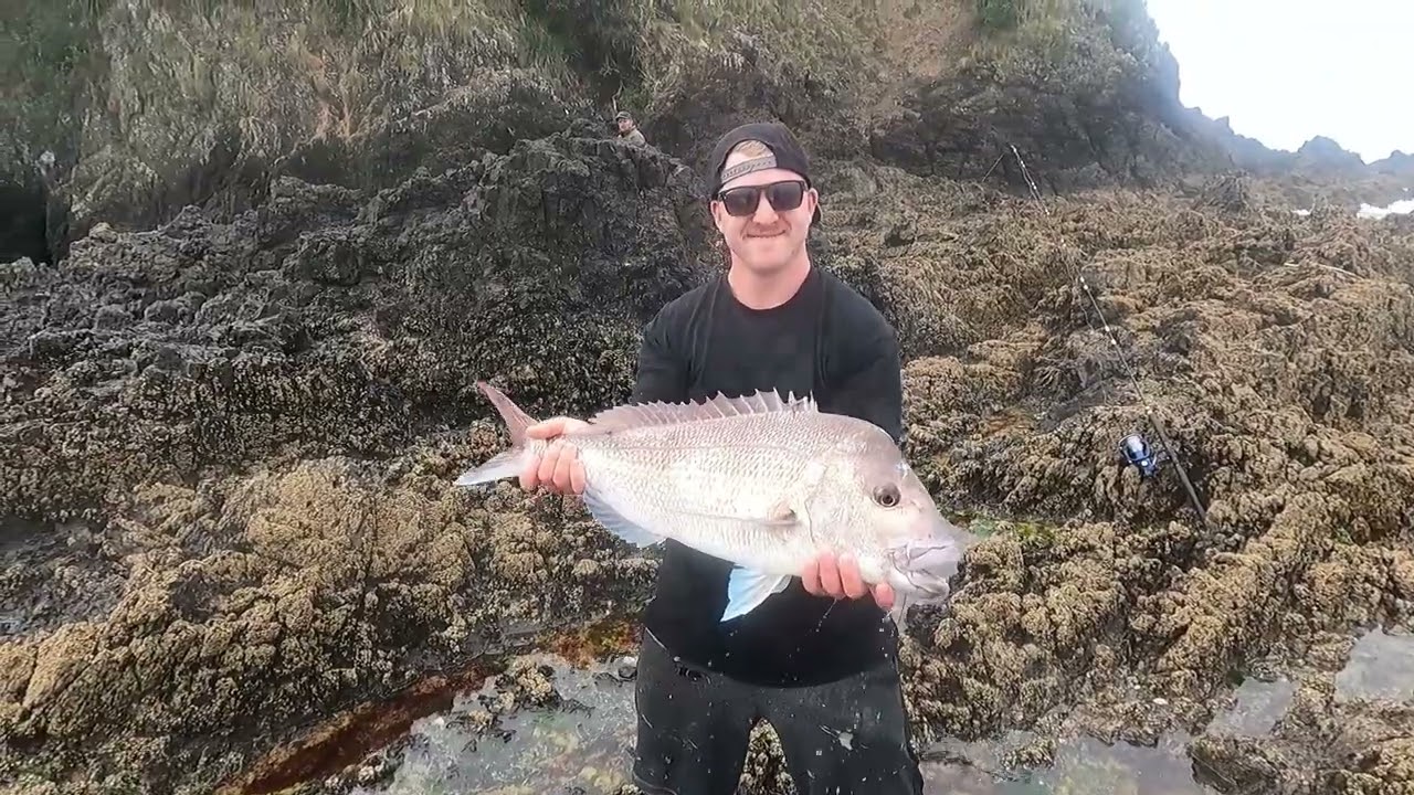 Catching big snapper off the rocks