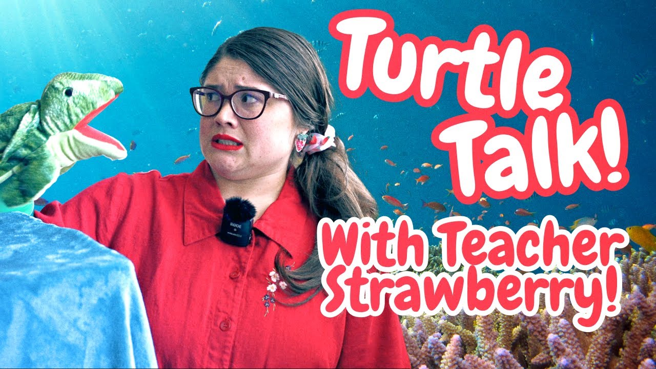 Strawberry met a Sea Turtle and This Happened | Storytime with Teacher Strawberry
