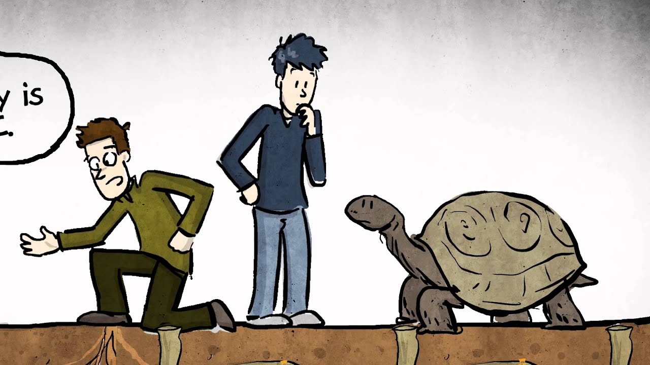 What is Aging? PhD Comics Animation with Jo&atilde;o Pedro de Magalh&atilde;es