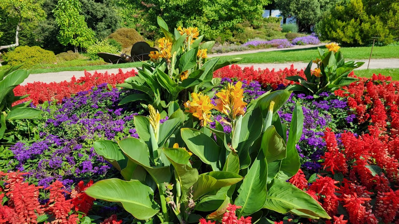 Botanischer Garten Solingen 