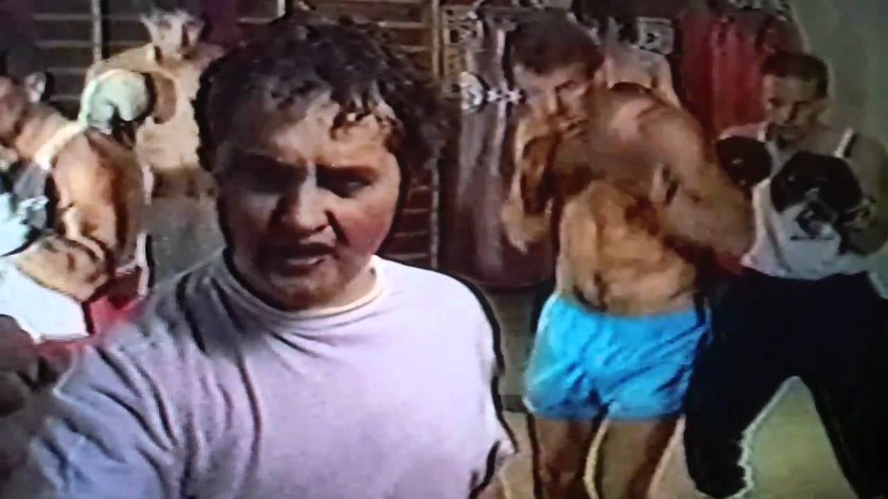 The Boxer 