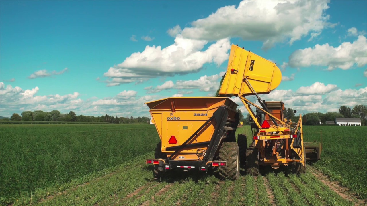 Bonduelle Americas Agronomy