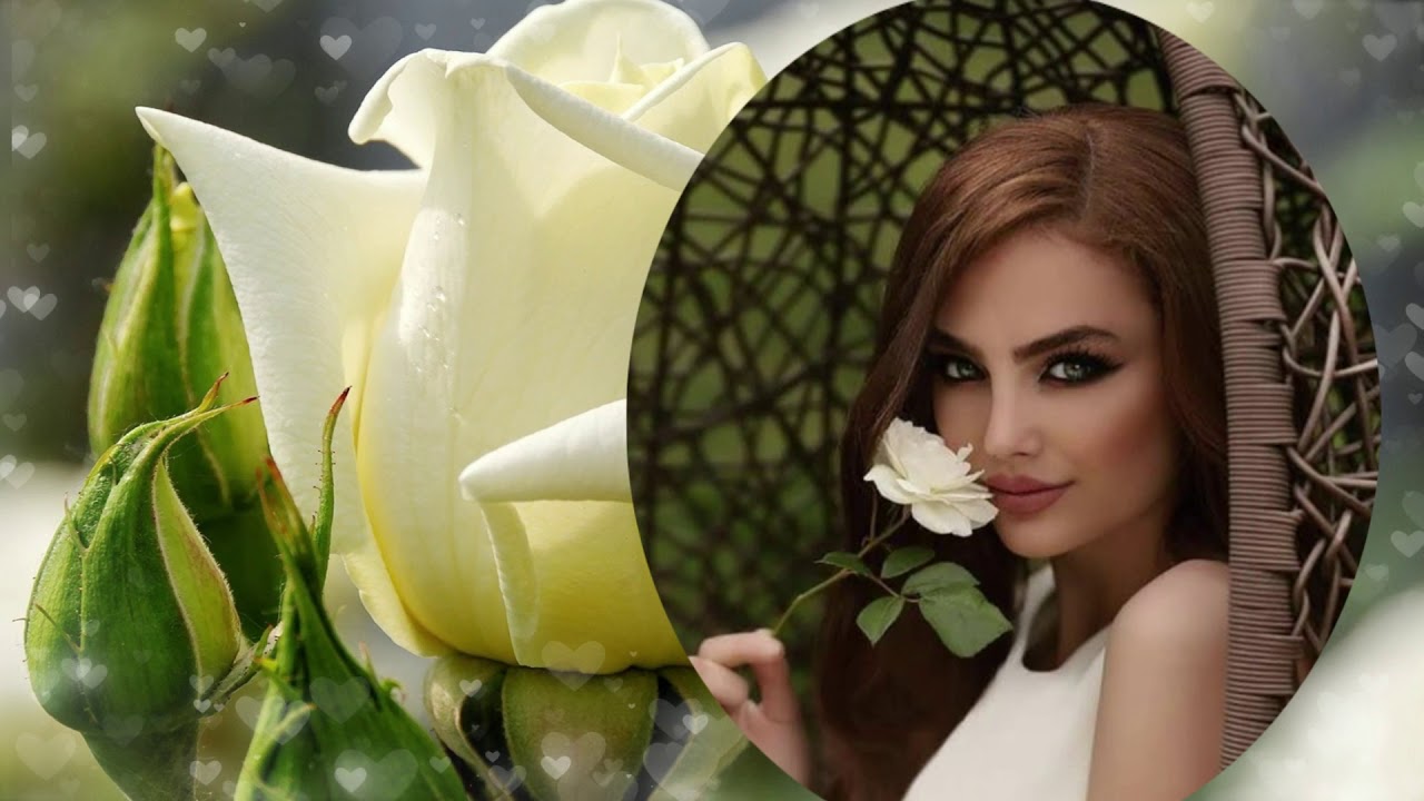 Belles roses blanches pour... Maman
