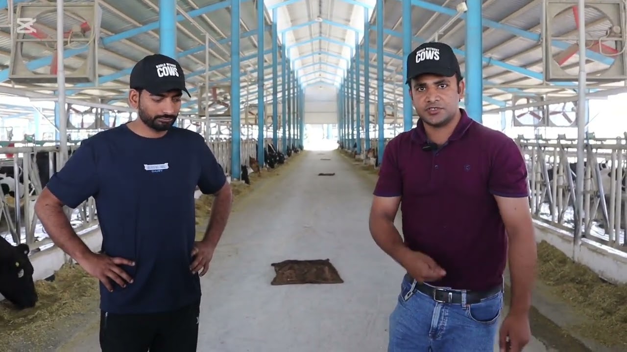 🚜 Don’t Waste Feed! | Penn State Particle Test Explained 🧪 | Boost Milk Yield & Save $$$ 🐄💡