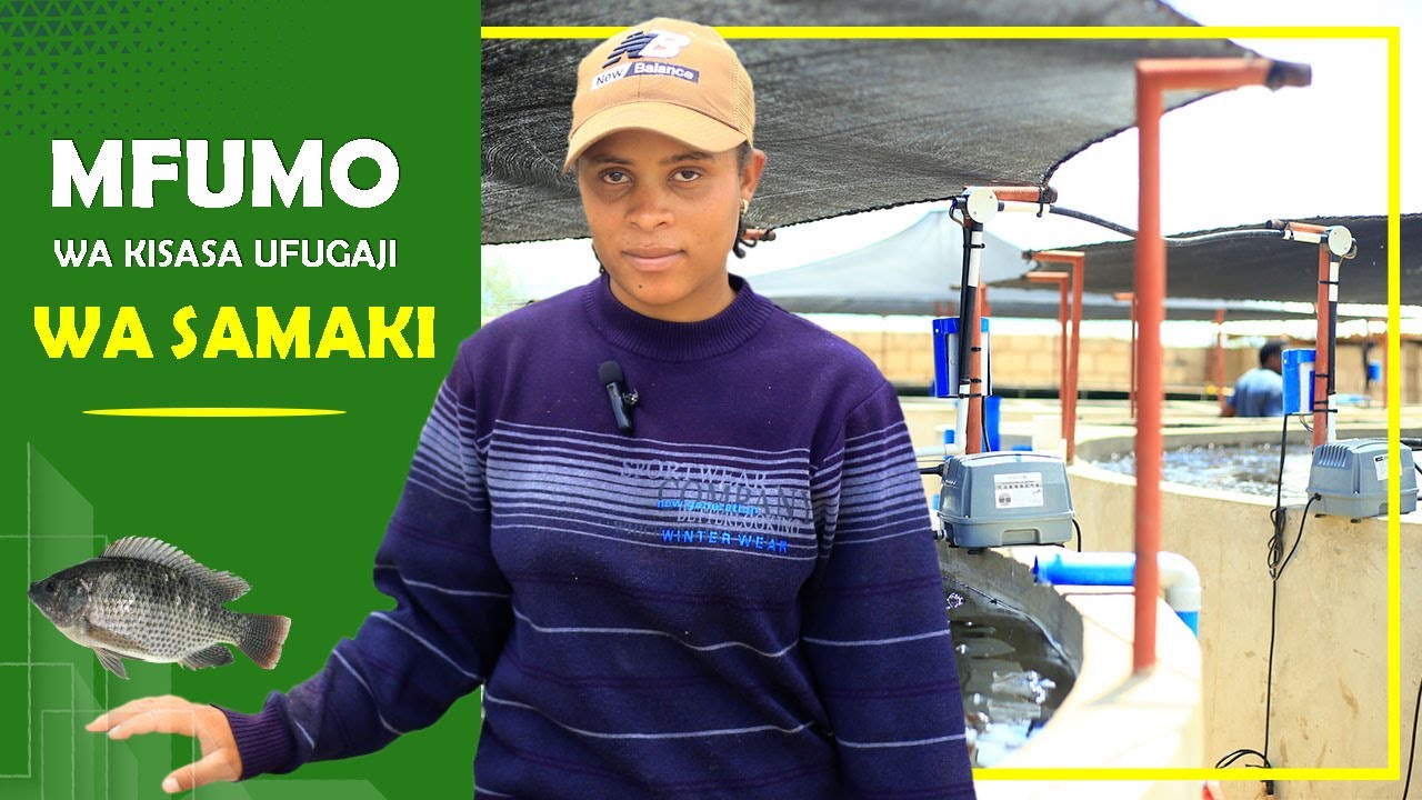 UFUGAJI WA SAMAKI KWA NJIA ZA KISASA (RAS) UNAFAIDA KUBWA