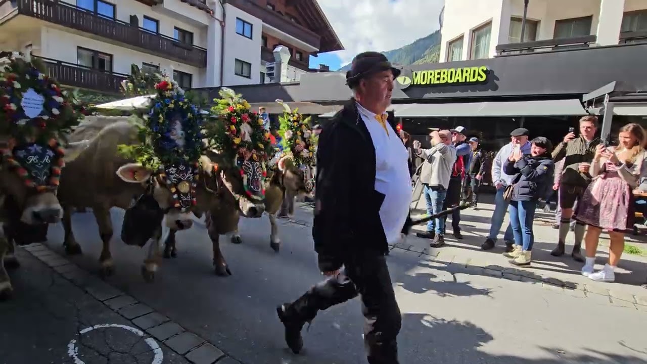 4.10.2025 Mayrhofen Almabtrieb Teil2