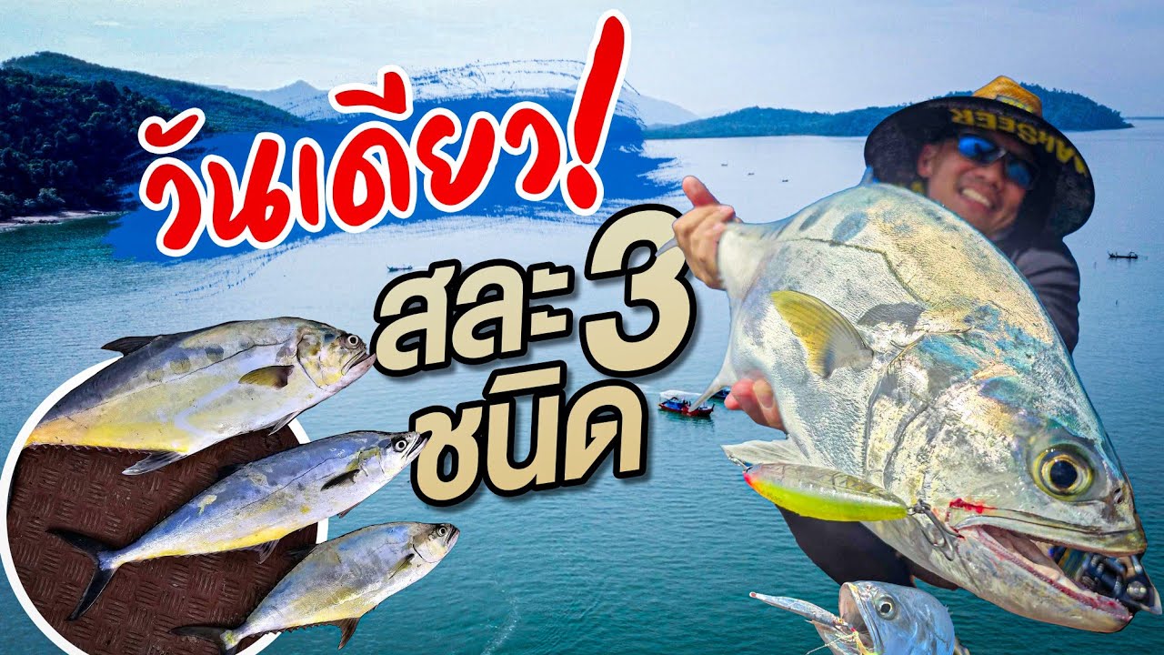 วันเดียวตกปลาสละได้ 3 ชนิด! เจอเต่าทะเลกินหมึก!