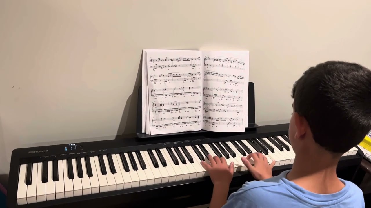 Fur Elise Piano by Adam
