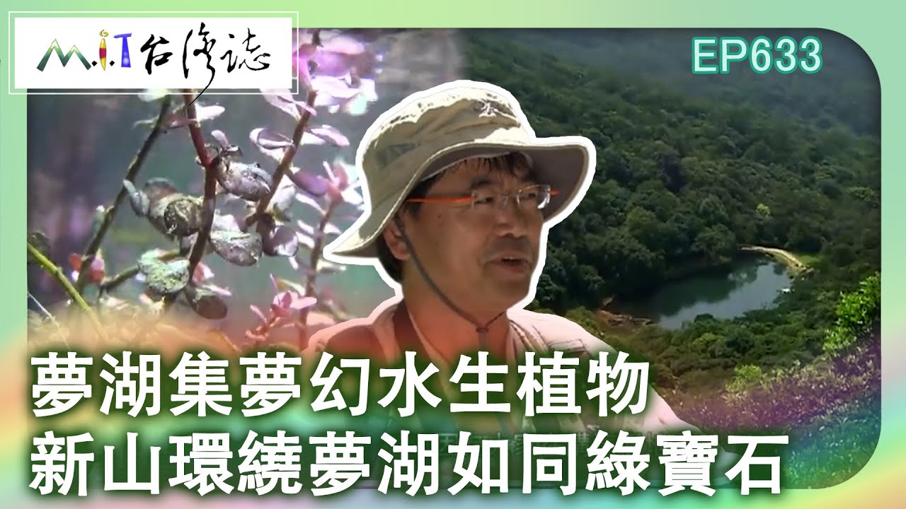 夢湖集夢幻水生植物　新山環繞夢湖如同綠寶石【台灣誌 #633】新山不遠 夢湖有夢 水生濕地新主義_20140803 @ctvmit